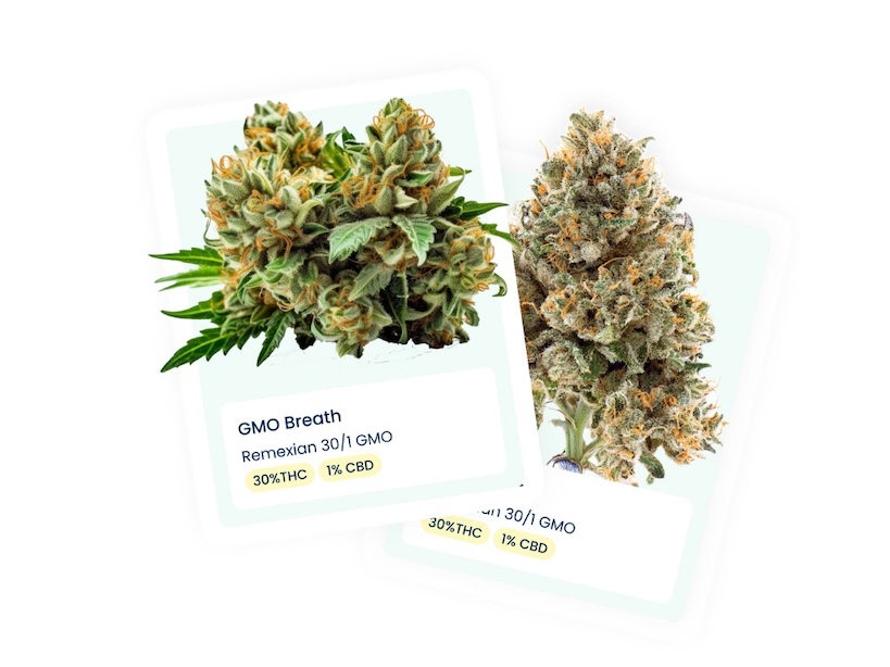 Produktauswahl auf einem Laptop